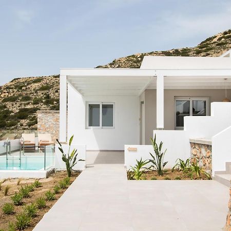 Theros Luxury Villas Damatria 外观 照片