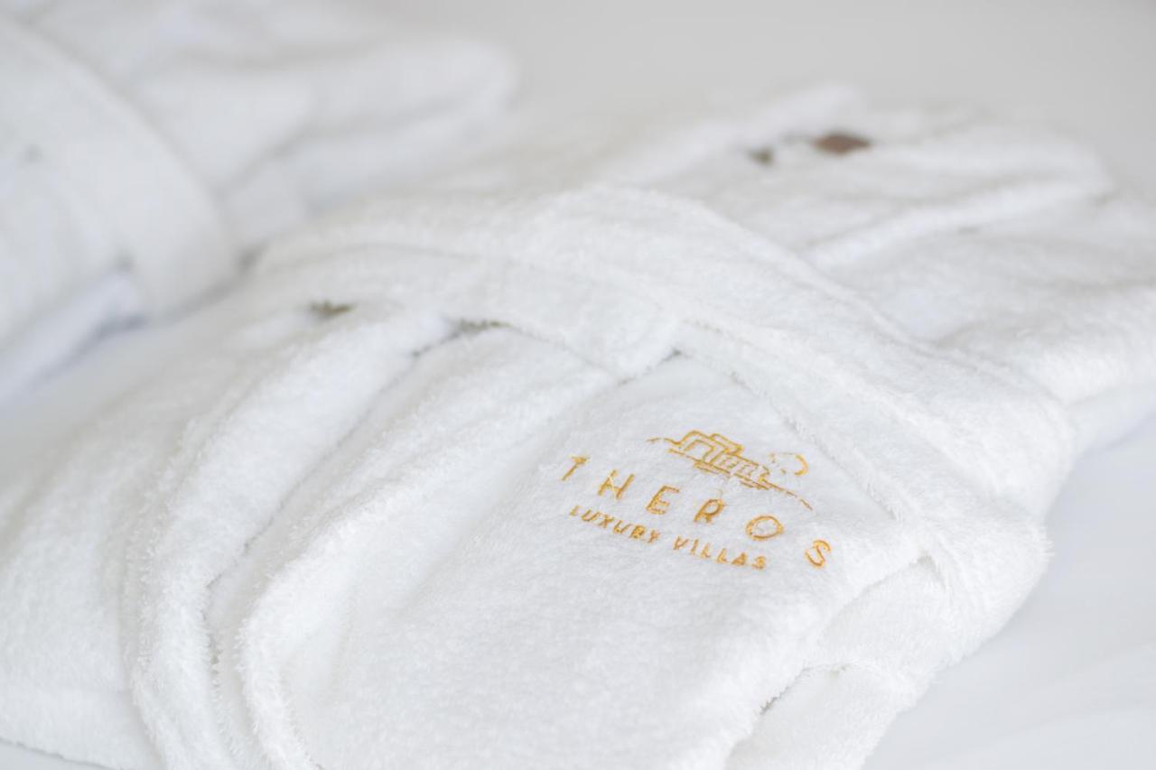Theros Luxury Villas Damatria 外观 照片