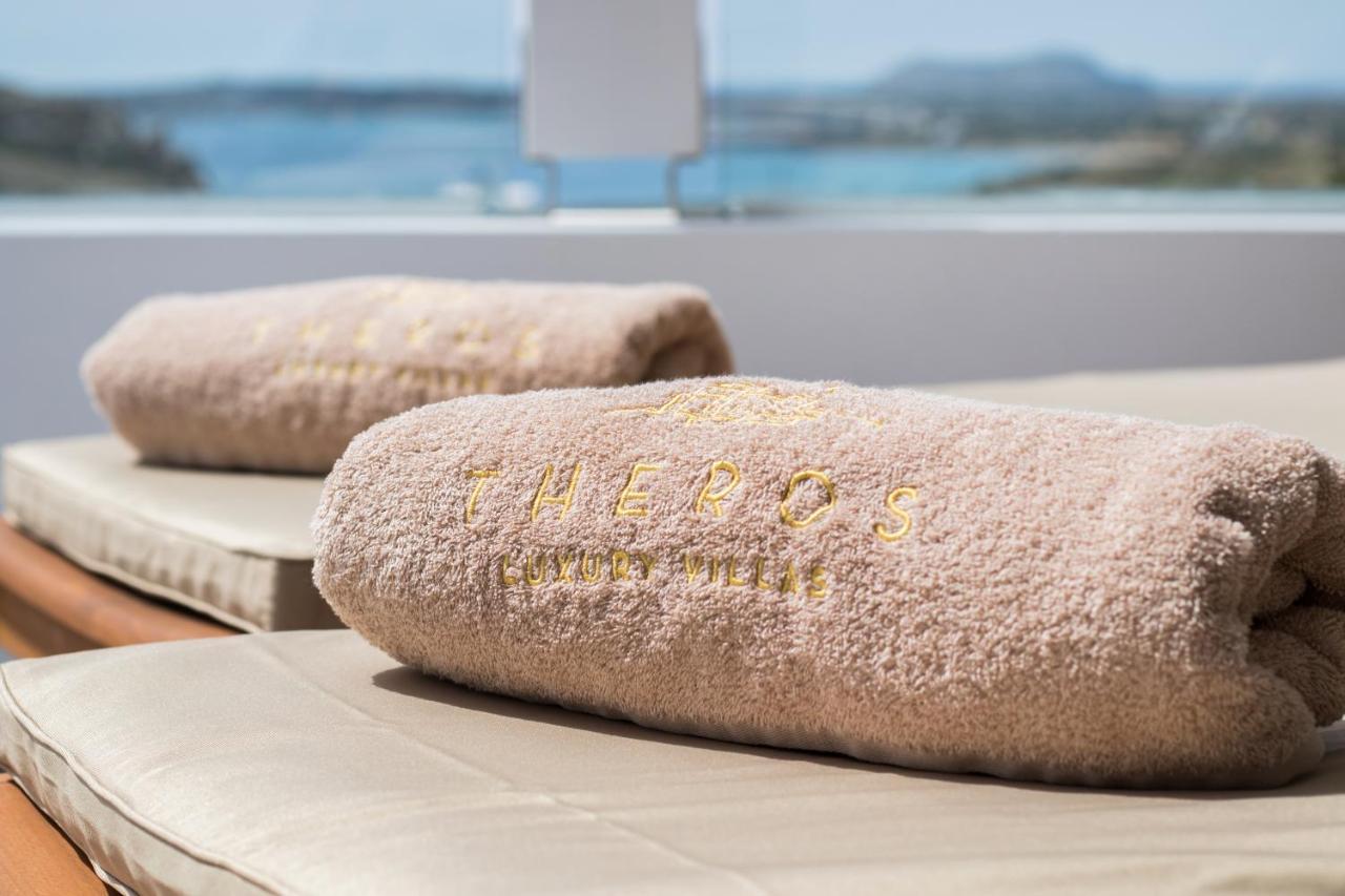 Theros Luxury Villas Damatria 外观 照片